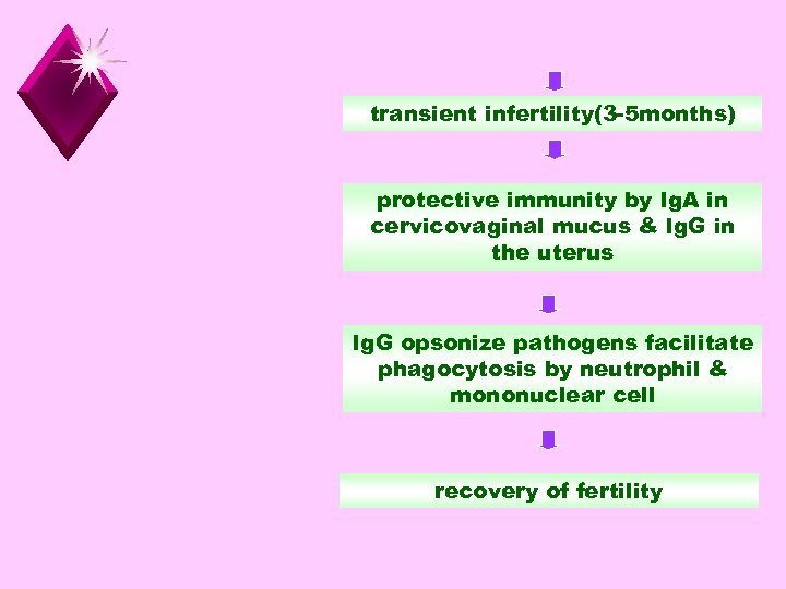 transient infertility(3 -5 months) protective immunity by Ig. A in cervicovaginal mucus & Ig.