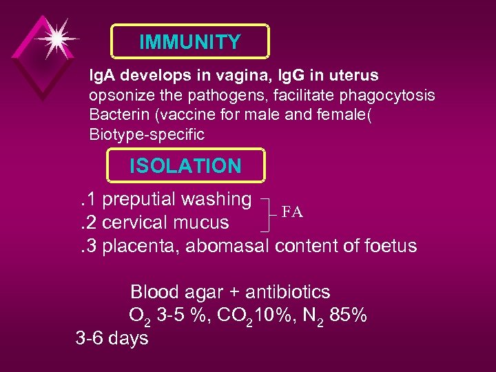 IMMUNITY Ig. A develops in vagina, Ig. G in uterus opsonize the pathogens, facilitate