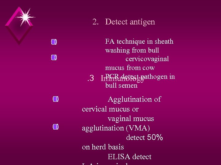 2. Detect antigen FA technique in sheath washing from bull cervicovaginal mucus from cow