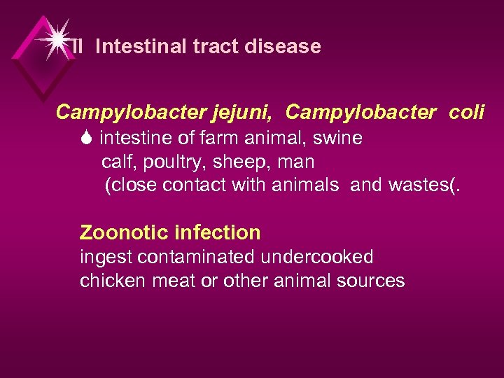 II Intestinal tract disease Campylobacter jejuni, Campylobacter coli S intestine of farm animal, swine