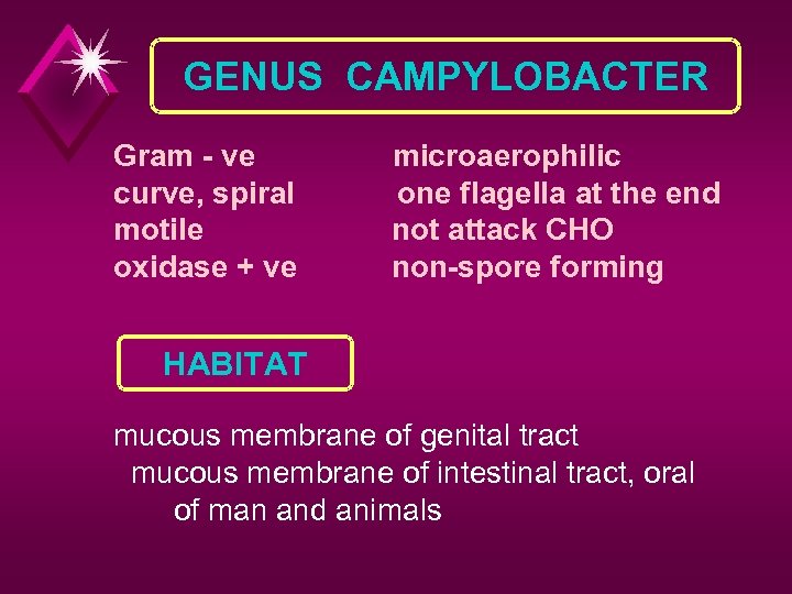 GENUS CAMPYLOBACTER Gram - ve curve, spiral motile oxidase + ve microaerophilic one flagella