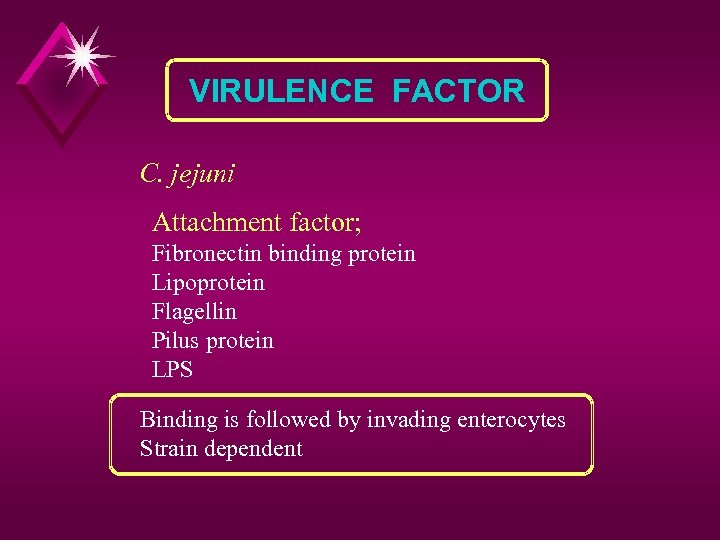 VIRULENCE FACTOR C. jejuni Attachment factor; Fibronectin binding protein Lipoprotein Flagellin Pilus protein LPS