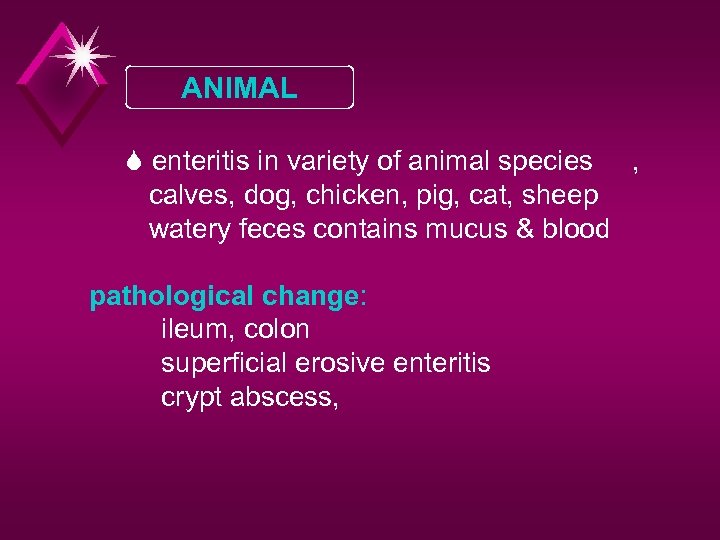 ANIMAL S enteritis in variety of animal species , calves, dog, chicken, pig, cat,