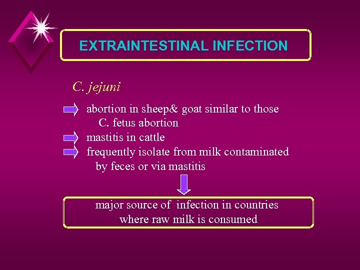 EXTRAINTESTINAL INFECTION C. jejuni abortion in sheep& goat similar to those C. fetus abortion