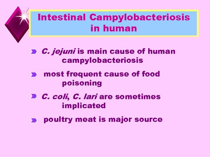 Intestinal Campylobacteriosis in human C. jejuni is main cause of human campylobacteriosis most frequent