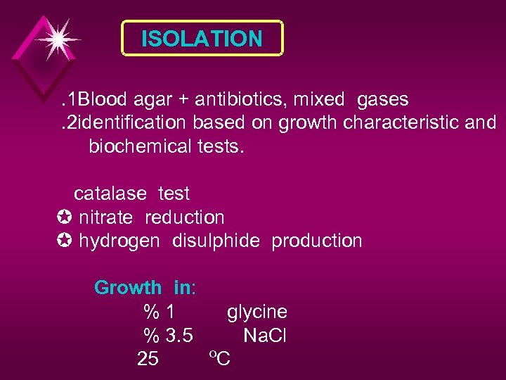 ISOLATION. 1 Blood agar + antibiotics, mixed gases. 2 identification based on growth characteristic