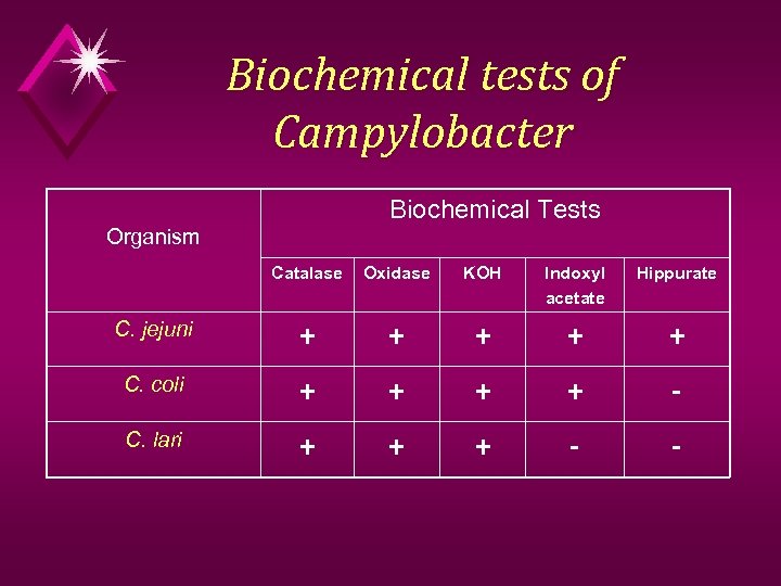 Biochemical tests of Campylobacter Biochemical Tests Organism Catalase Oxidase KOH Indoxyl acetate Hippurate C.