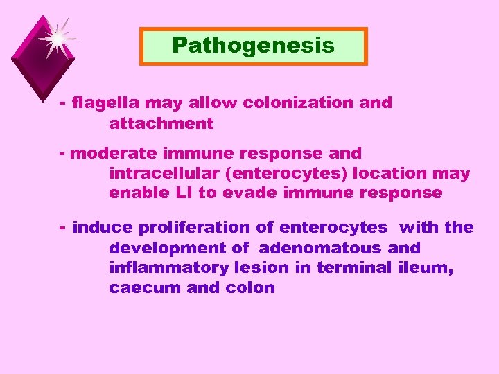 Pathogenesis - flagella may allow colonization and attachment - moderate immune response and intracellular