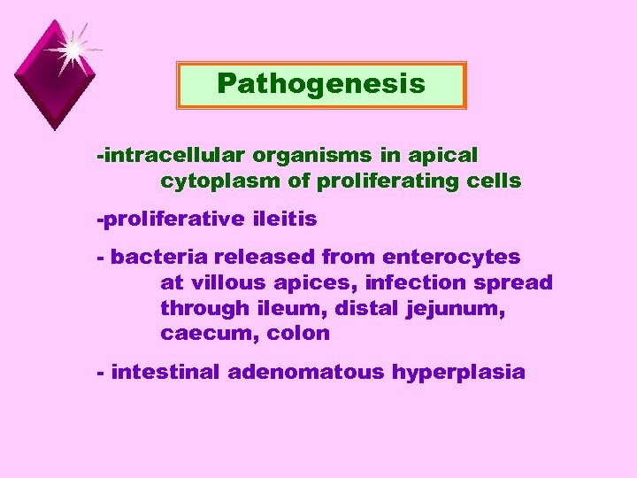 Pathogenesis -intracellular organisms in apical cytoplasm of proliferating cells -proliferative ileitis - bacteria released