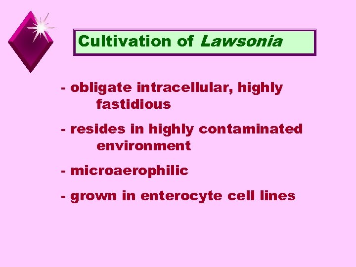 Cultivation of Lawsonia - obligate intracellular, highly fastidious - resides in highly contaminated environment