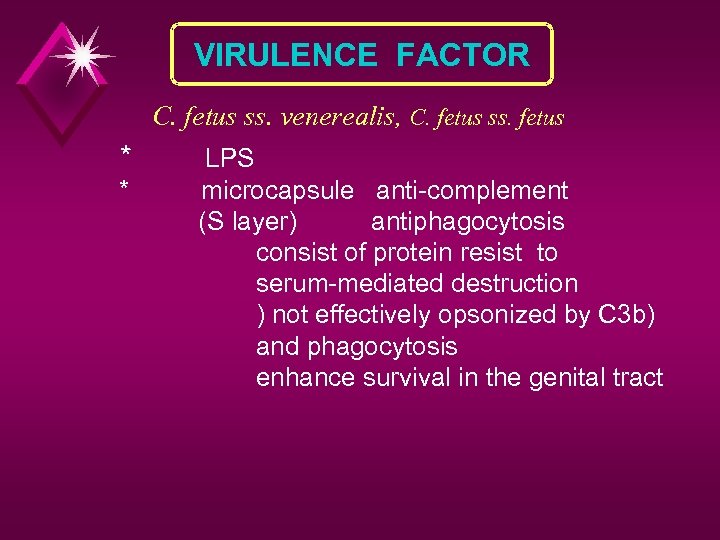 VIRULENCE FACTOR C. fetus ss. venerealis, C. fetus ss. fetus * * LPS microcapsule