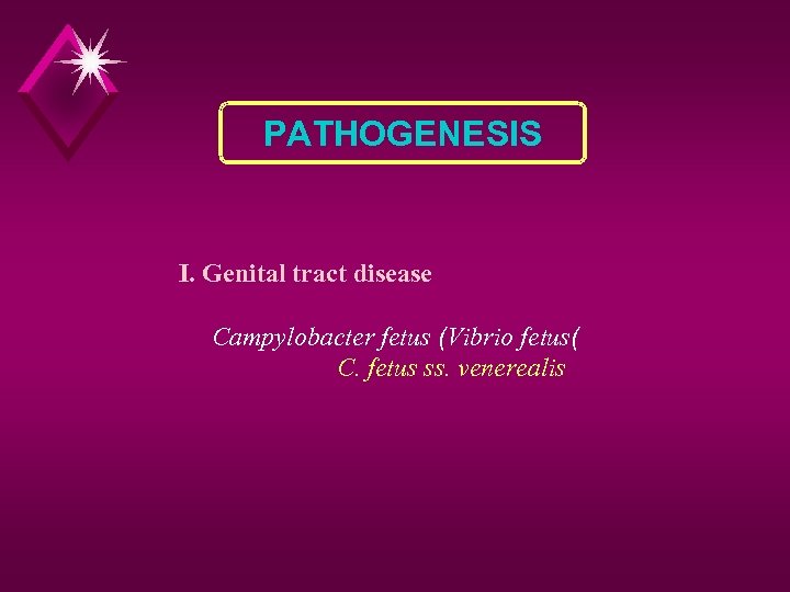 PATHOGENESIS I. Genital tract disease Campylobacter fetus (Vibrio fetus( C. fetus ss. venerealis 