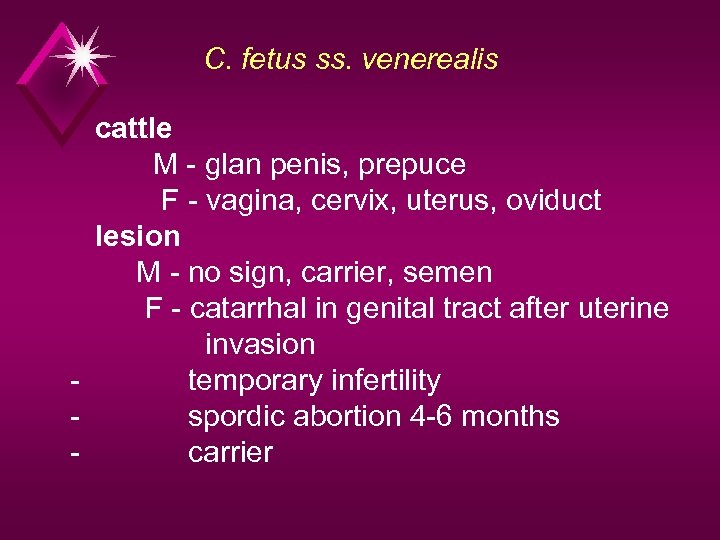 C. fetus ss. venerealis cattle M - glan penis, prepuce F - vagina, cervix,