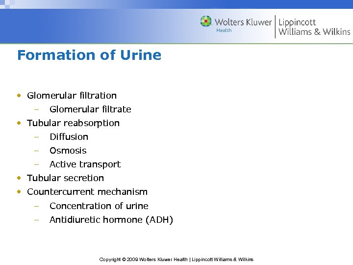 Formation of Urine • Glomerular filtration – Glomerular filtrate • Tubular reabsorption – Diffusion