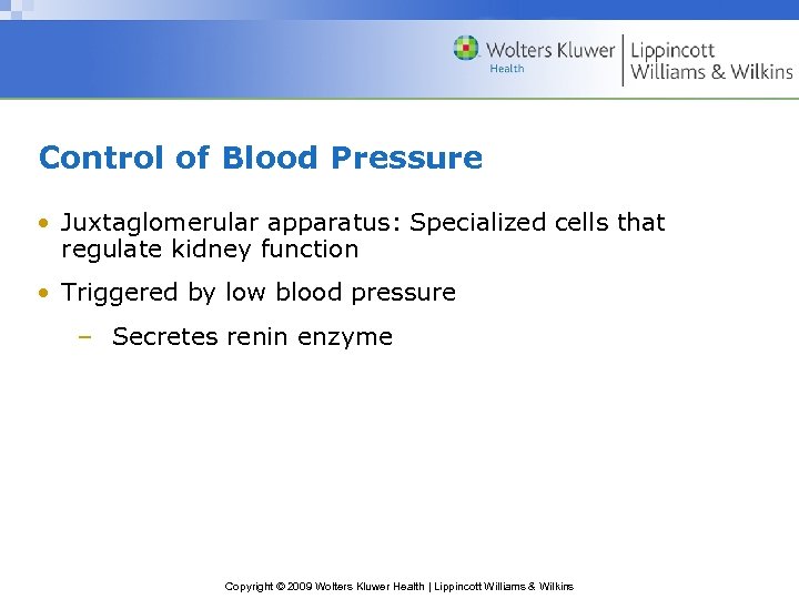 Control of Blood Pressure • Juxtaglomerular apparatus: Specialized cells that regulate kidney function •