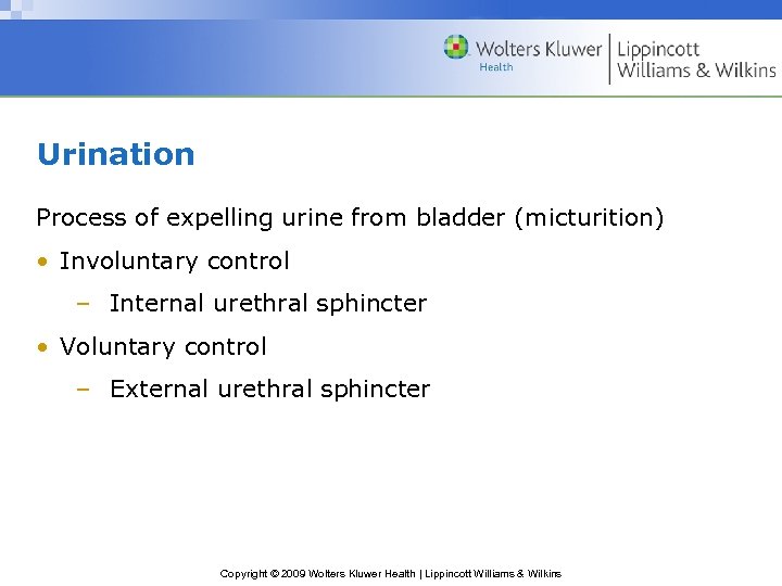 Urination Process of expelling urine from bladder (micturition) • Involuntary control – Internal urethral