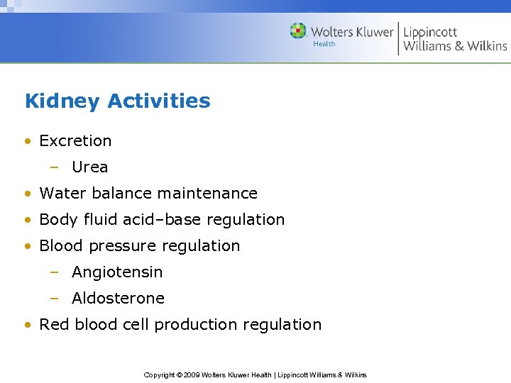 Kidney Activities • Excretion – Urea • Water balance maintenance • Body fluid acid–base