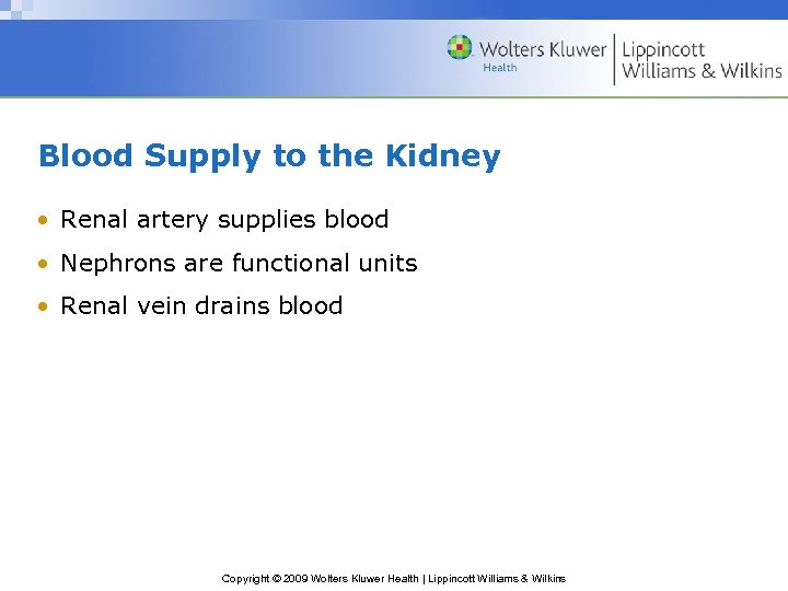 Blood Supply to the Kidney • Renal artery supplies blood • Nephrons are functional