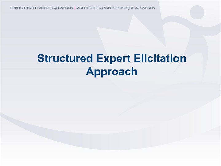 Structured Expert Elicitation Approach 