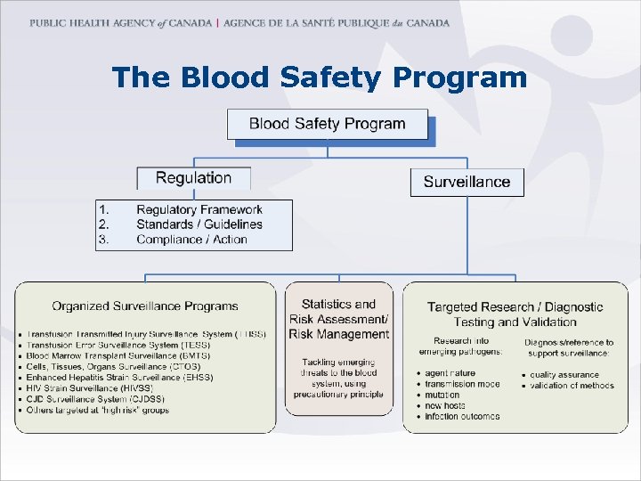 The Blood Safety Program 