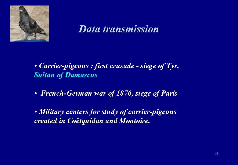 Data transmission • Carrier-pigeons : first crusade - siege of Tyr, Sultan of Damascus