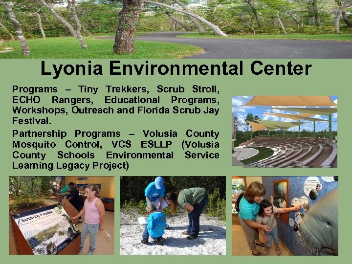 Lyonia Environmental Center Programs – Tiny Trekkers, Scrub Stroll, ECHO Rangers, Educational Programs, Workshops,