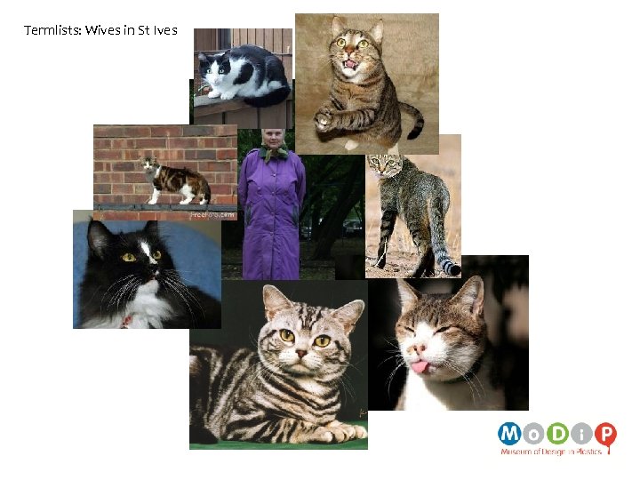 Termlists: Wives in St Ives 