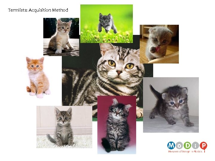 Termlists: Acquisition Method 