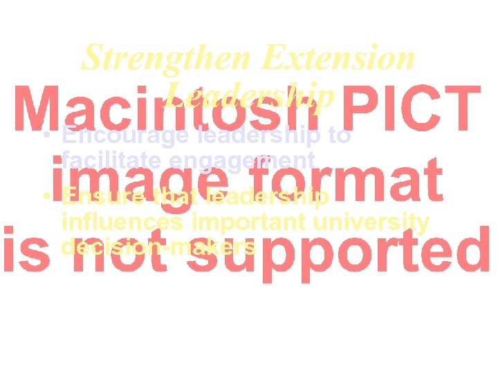 Strengthen Extension Leadership • Encourage leadership to facilitate engagement • Ensure that leadership influences