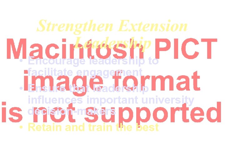 Strengthen Extension Leadership • Encourage leadership to facilitate engagement • Ensure that leadership influences