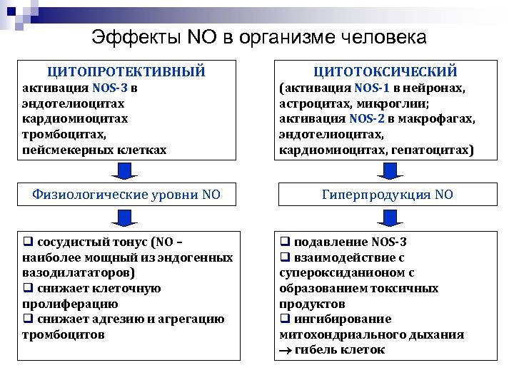 Эффекты NO в организме человека ЦИТОПРОТЕКТИВНЫЙ активация NOS-3 в эндотелиоцитах кардиомиоцитах тромбоцитах, пейсмекерных клетках