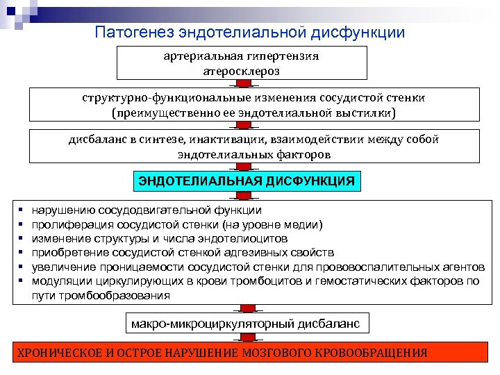 Теории патогенеза атеросклероза