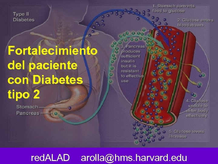 Fortalecimiento del paciente con Diabetes tipo 2 red. ALAD arolla@hms. harvard. edu 