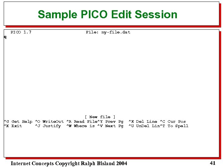 Sample PICO Edit Session q PICO 1. 7 File: my-file. dat [ New file