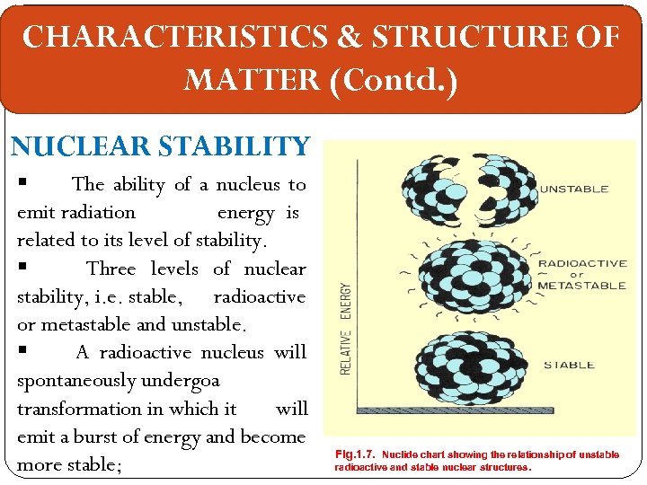 CHARACTERISTICS & STRUCTURE OF MATTER (Contd. ) NUCLEAR STABILITY § The ability of a