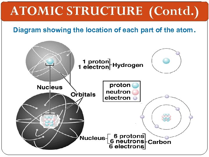 ATOMIC STRUCTURE (Contd. ) Diagram showing the location of each part of the atom.