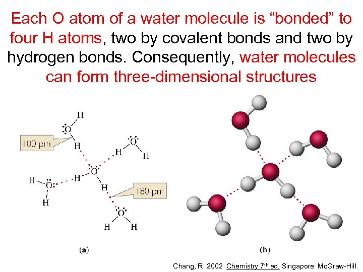 Each O atom of a water molecule is “bonded” to four H atoms, two