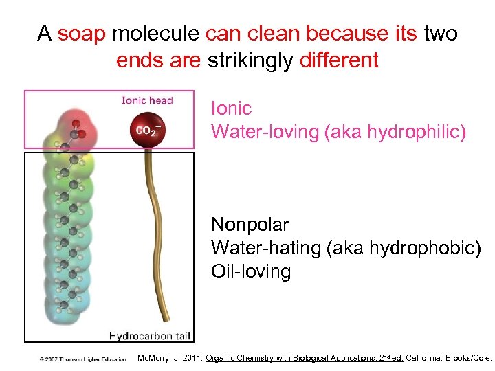 A soap molecule can clean because its two ends are strikingly different Ionic Water-loving