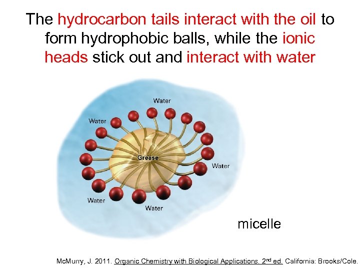 The hydrocarbon tails interact with the oil to form hydrophobic balls, while the ionic