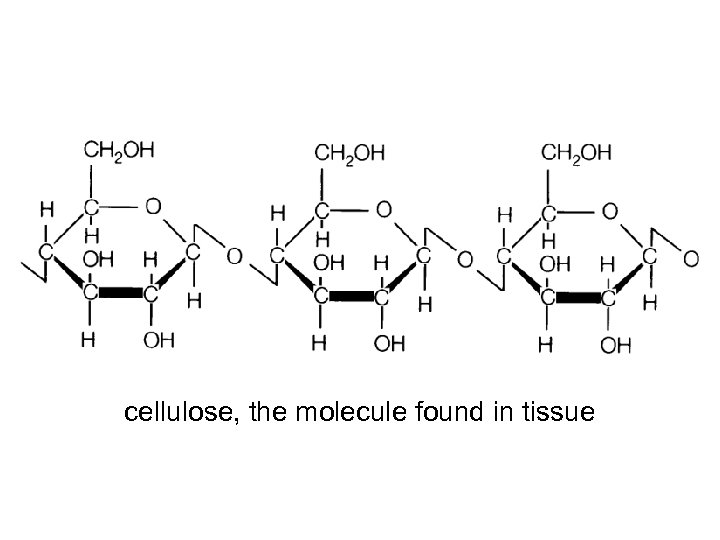 cellulose, the molecule found in tissue 