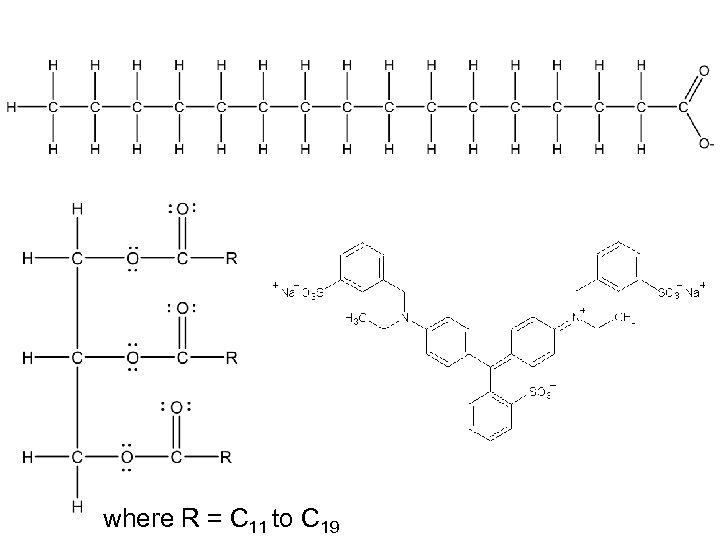 where R = C 11 to C 19 