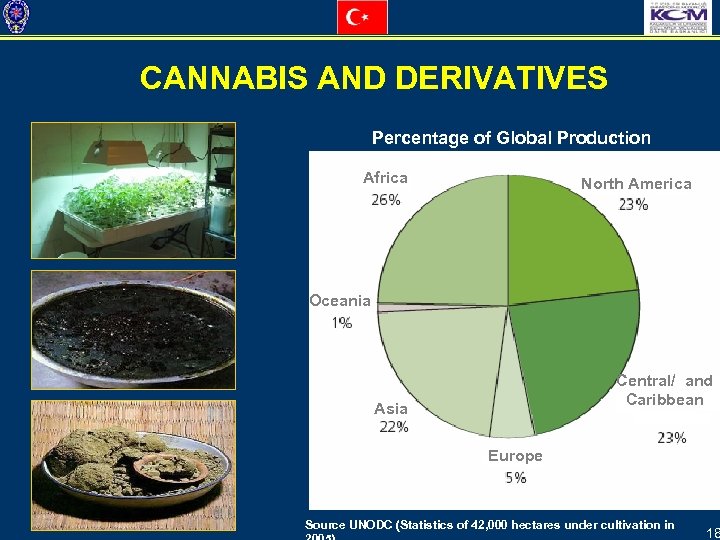 CANNABIS AND DERIVATIVES Percentage of Global Production Africa North America Oceania Central/ and Caribbean