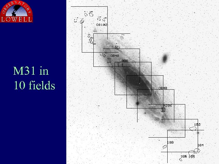 M 31 in 10 fields 