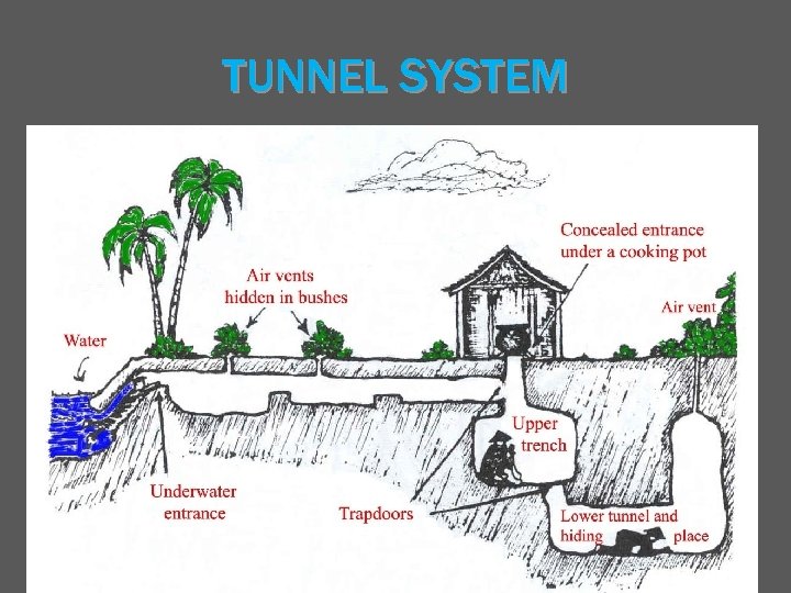 TUNNEL SYSTEM 