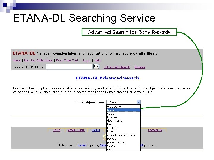 ETANA-DL Searching Service Advanced Search for Bone Records 