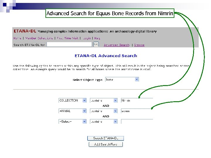 Advanced Search for Equus Bone Records from Nimrin 