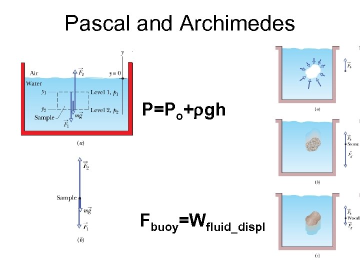 Pascal and Archimedes P=Po+rgh Fbuoy=Wfluid_displ 