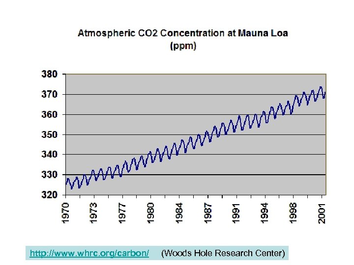 http: //www. whrc. org/carbon/ (Woods Hole Research Center) 