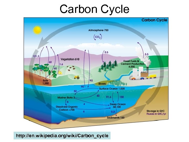 Carbon Cycle http: //en. wikipedia. org/wiki/Carbon_cycle 