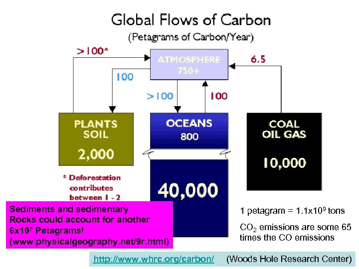 Sediments and sedimentary Rocks could account for another 6 x 107 Petagrams! (www. physicalgeography.